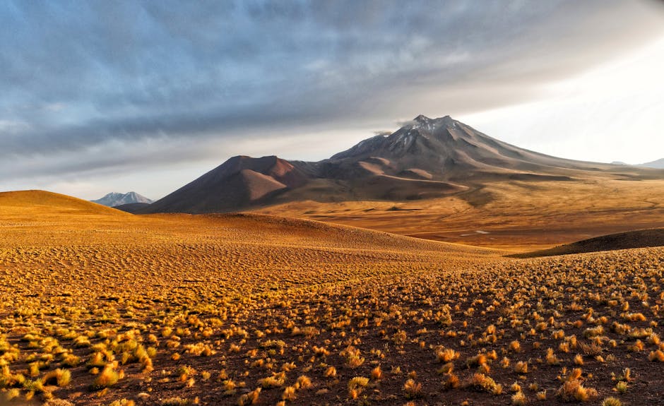 Chilean Wonders: Stargazing in the Atacama Desert