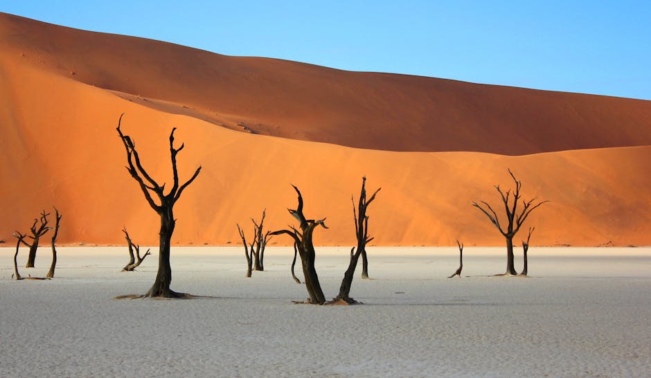 Namibian Landscapes: Desert Safaris in the Namib Desert