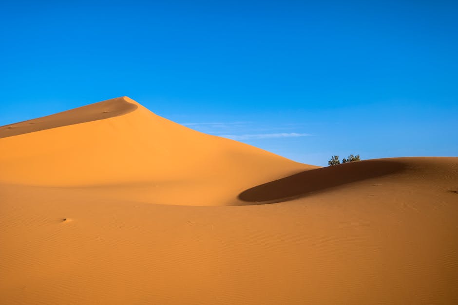 Desert Adventures: Discovering Sands and Dunes