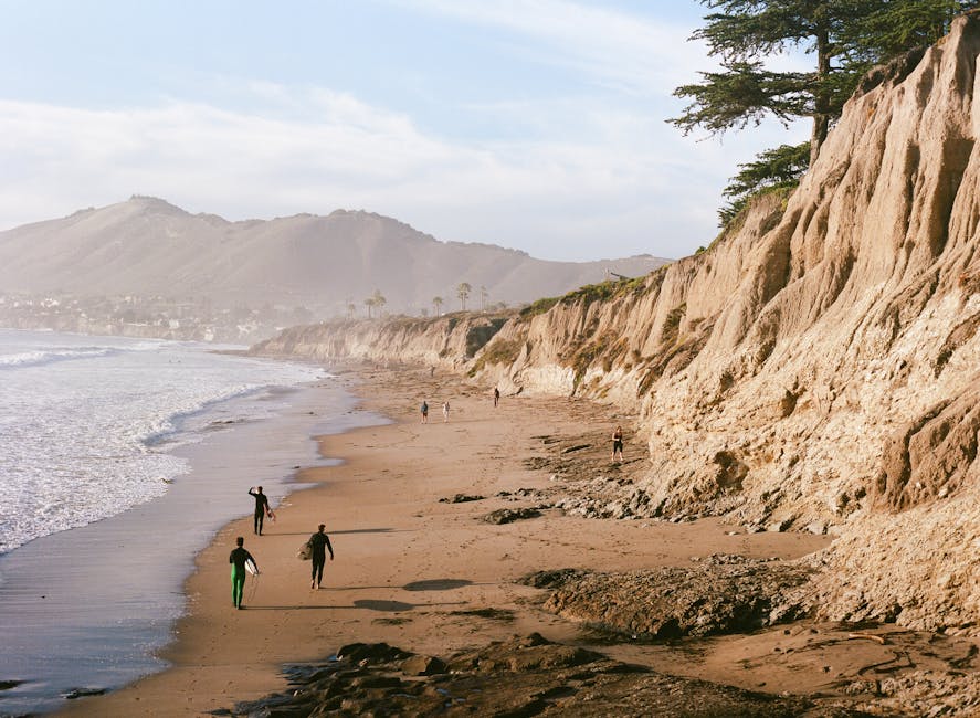 The Redwoods of California: Walking Among Giants