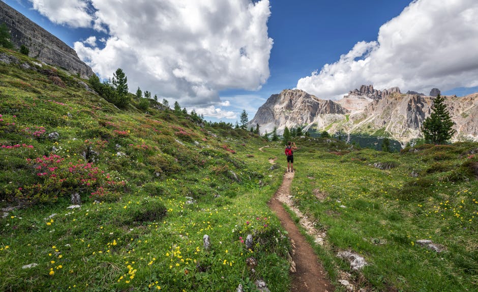 Hiking Trails: Scenic Paths for Nature Enthusiasts