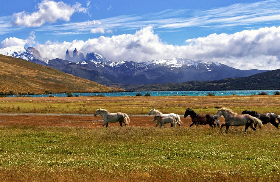The Fjords of Chile: Patagonia’s Pristine Waterways