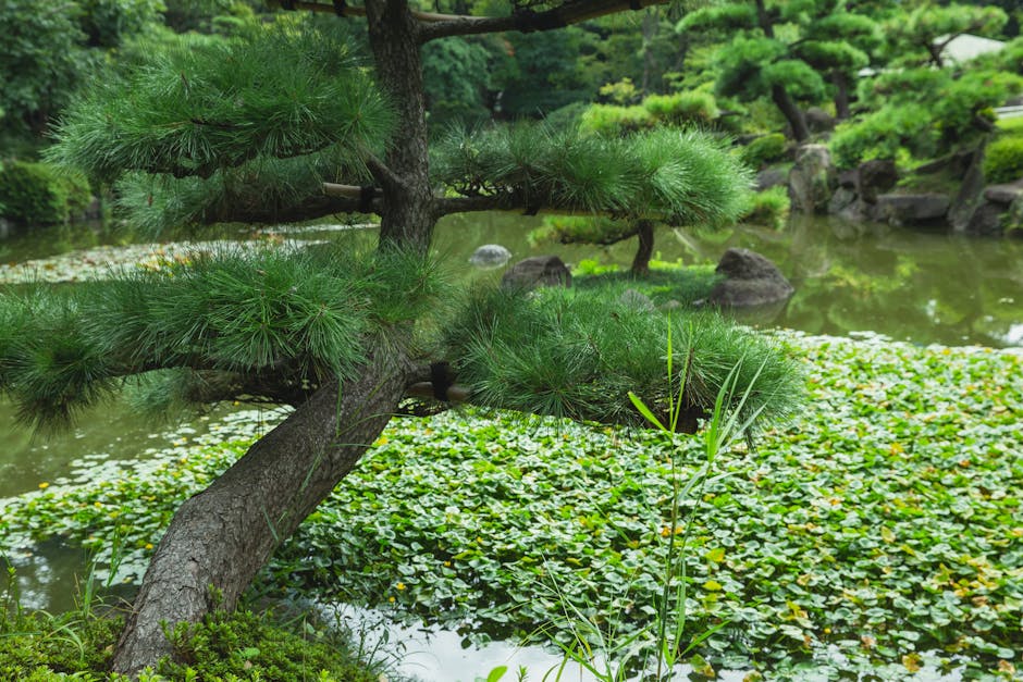 How Japanese Tea Gardens Reflect Cultural Values