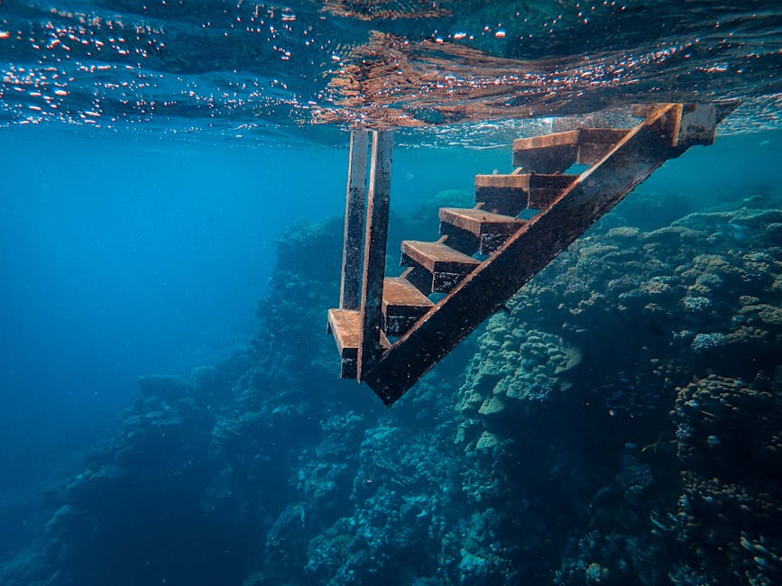 Belizean Adventures: Exploring the Blue Hole by Diving