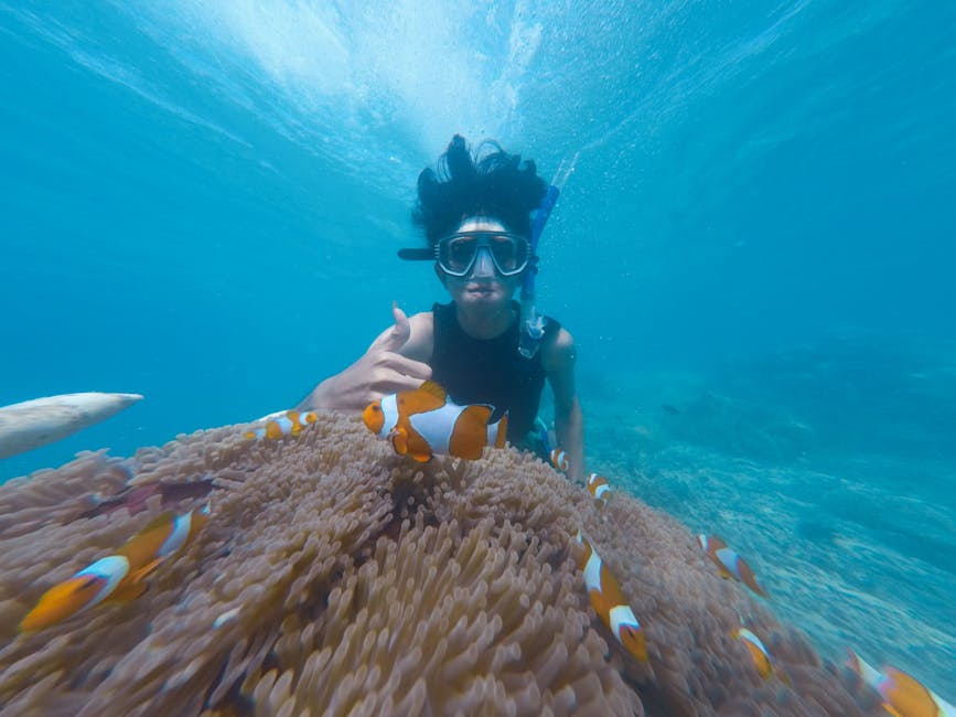 Snorkeling Spots: Underwater Wonders to Explore