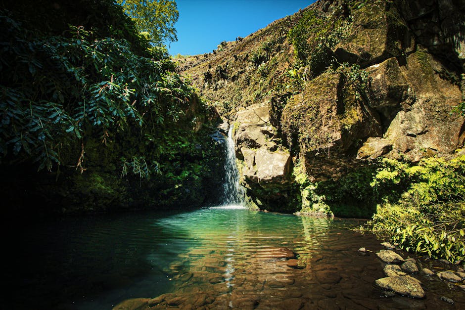 Hidden Waterfalls: Discovering Nature's Hidden Gems