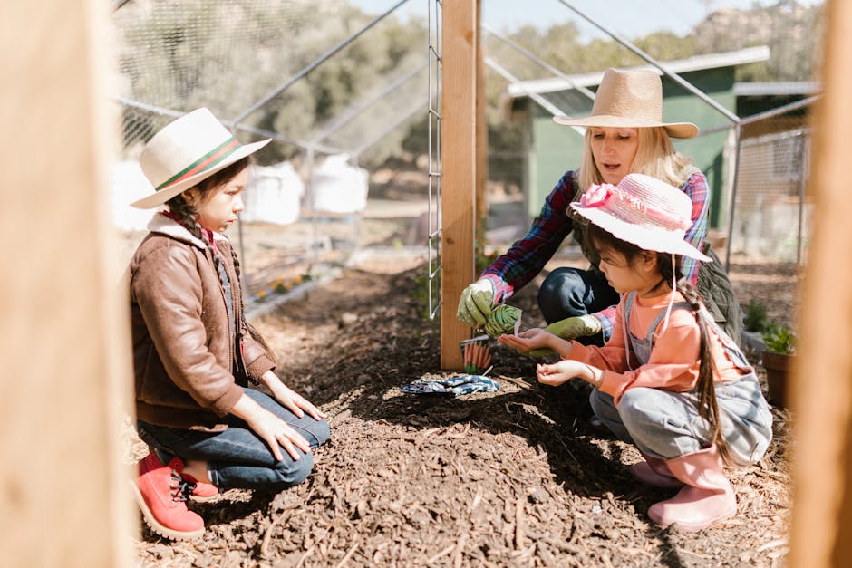 Farm Stays: Living and Learning on Farms